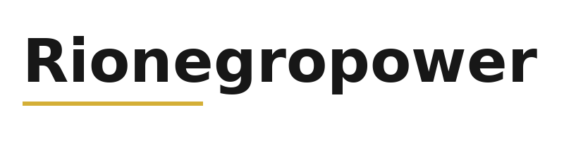 Rionegropower logo